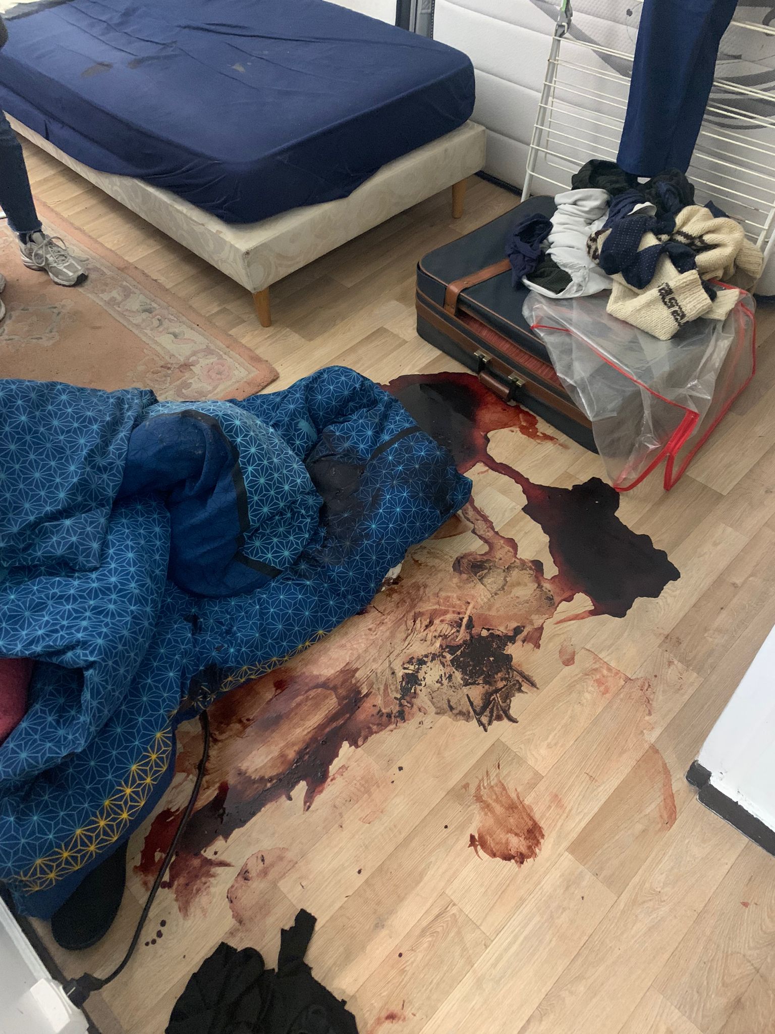 Peut-on garantir zéro odeur après décontamination des surfaces ? WhatsApp Image 2024 11 11 A 13.15.01 961f2b7c